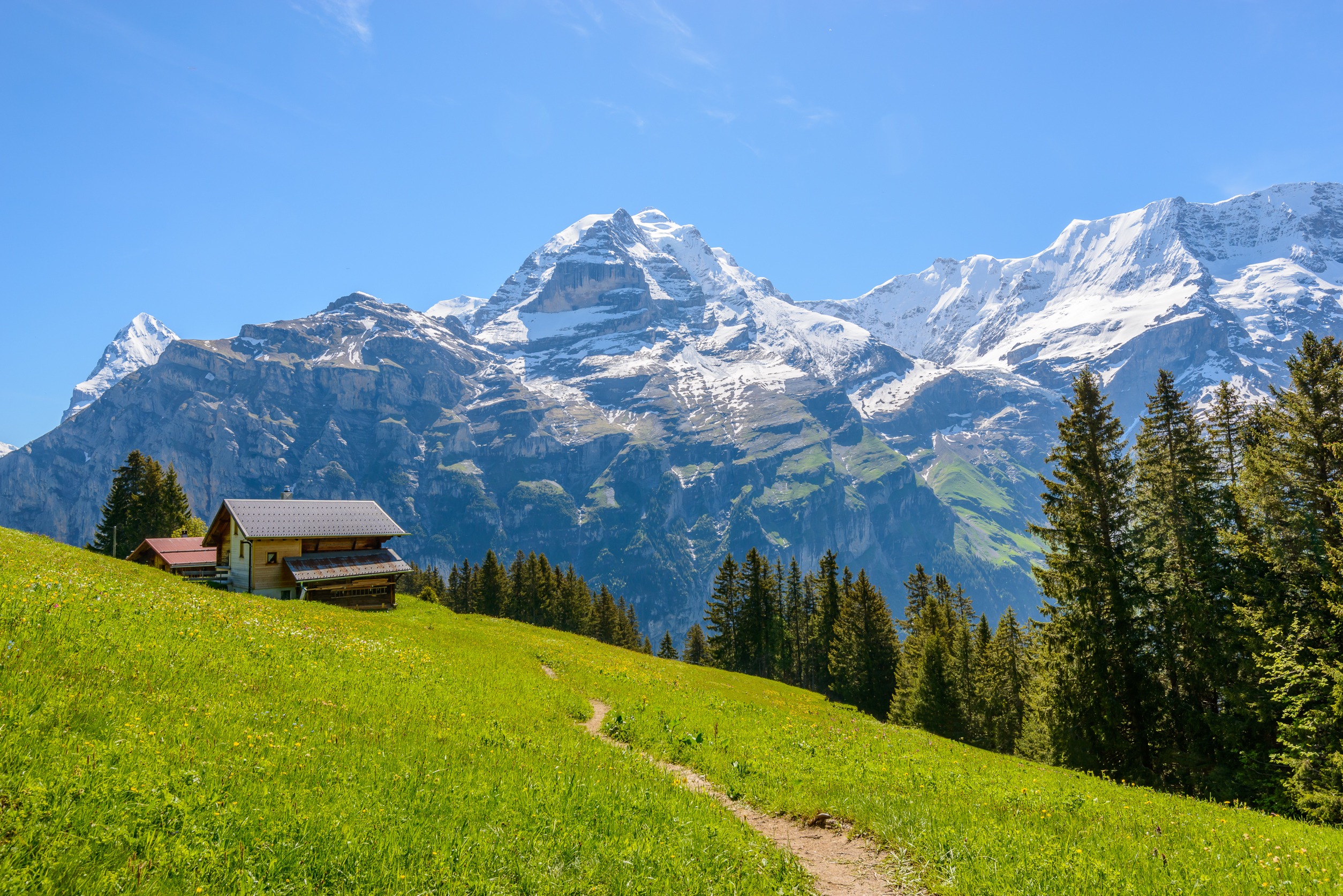 Beautiful mountain view with a house